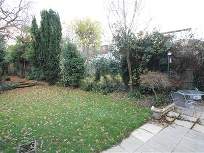 Picture 15